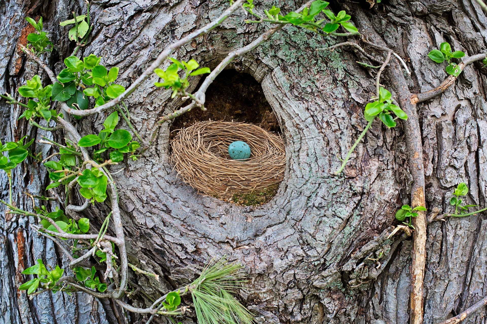 Comment est la glaire après ovulation si fécondation ?